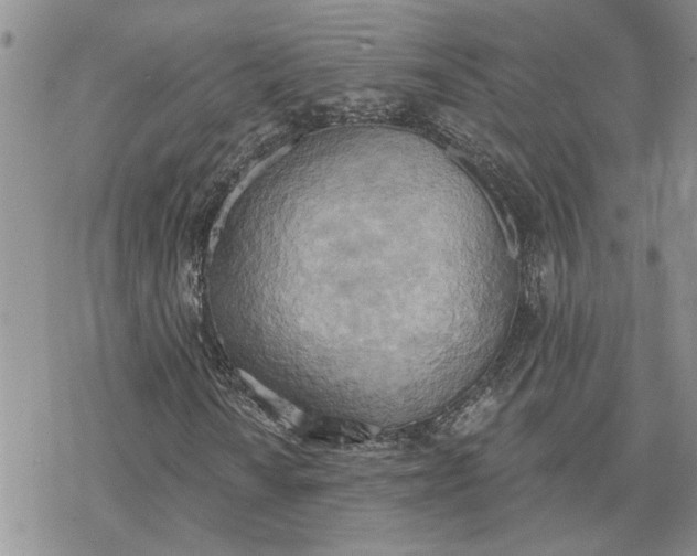 X0000078231010200611171428