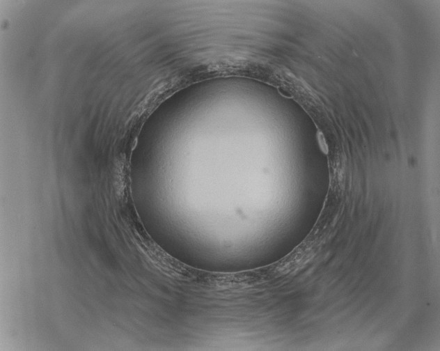 X0000078231012200611171428