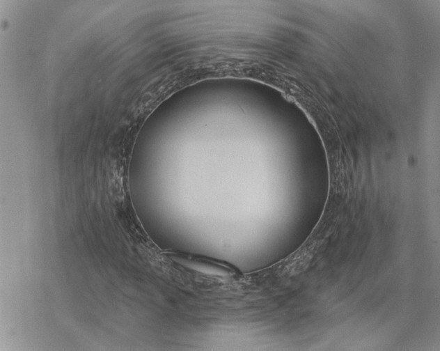 X0000078231013200611171428