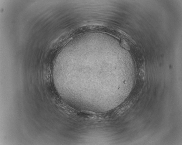 X0000078231014200611171428