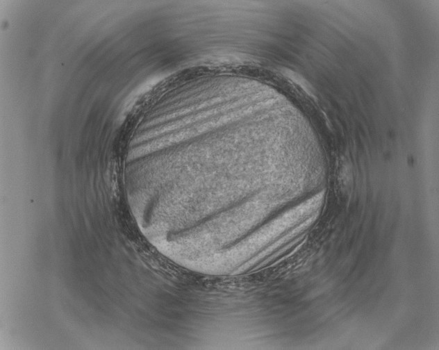 X0000078231016200611171428