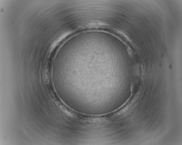 X0000078231018200611171428