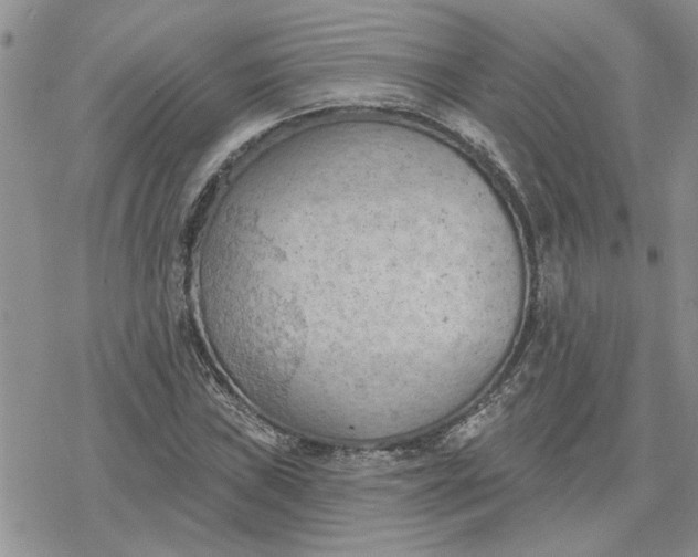 X0000078231019200611171428