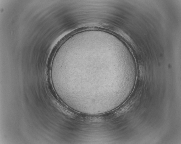 X0000078231020200611171428