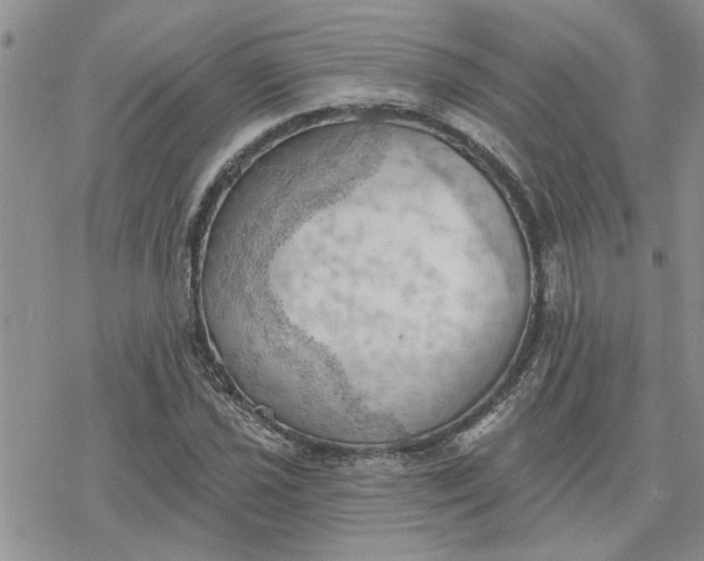 X0000078231021200611171428