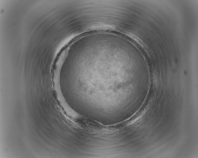 X0000078231022200611171428