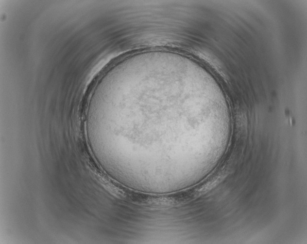 X0000078231023200611171428