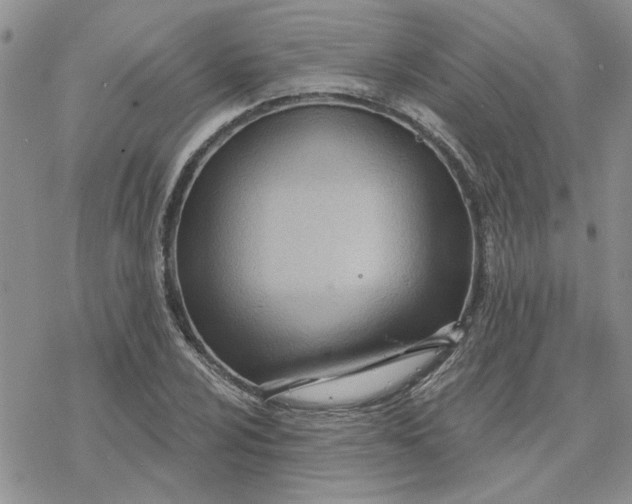 X0000078231024200611171428