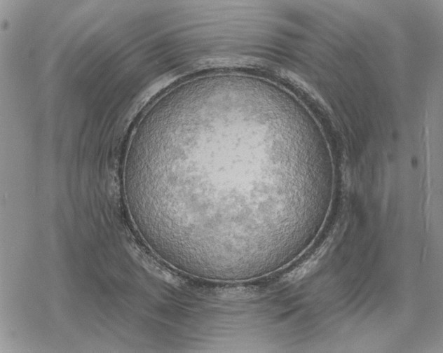 X0000078231025200611171428