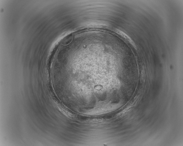 X0000078231027200611171428