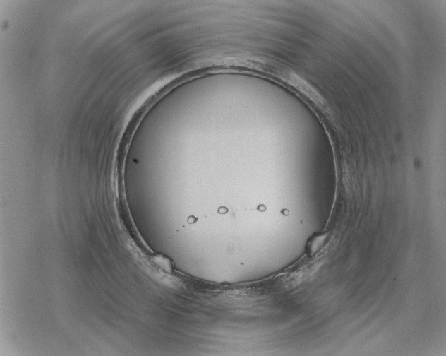 X0000078231028200611171428