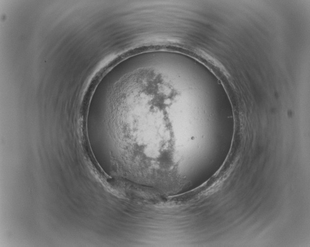 X0000078231029200611171428