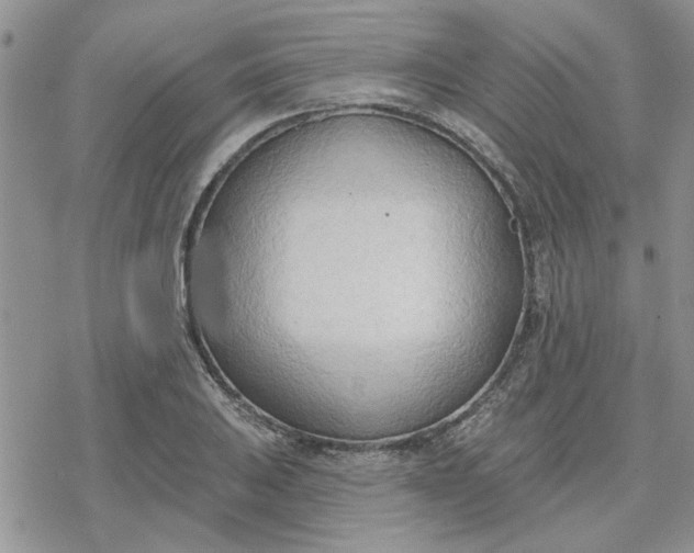 X0000078231031200611171428