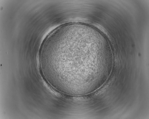 X0000078231032200611171428