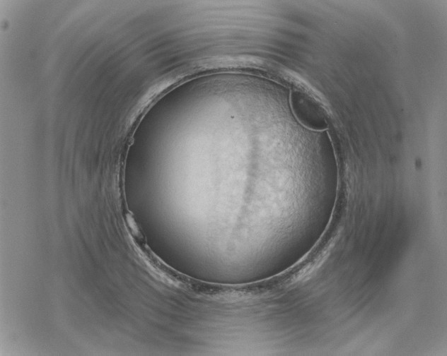 X0000078231033200611171428