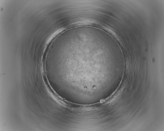 X0000078231034200611171428