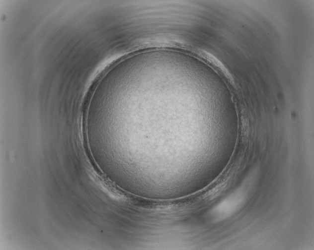 X0000078231035200611171428