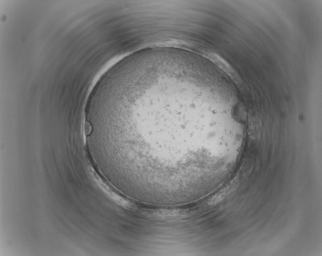 X0000078231036200611171428