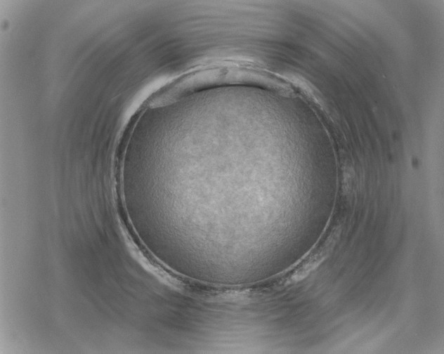 X0000078231038200611171428