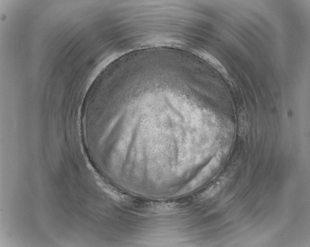 X0000078231039200611171428