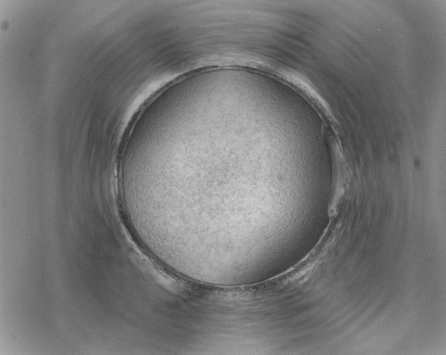 X0000078231040200611171428