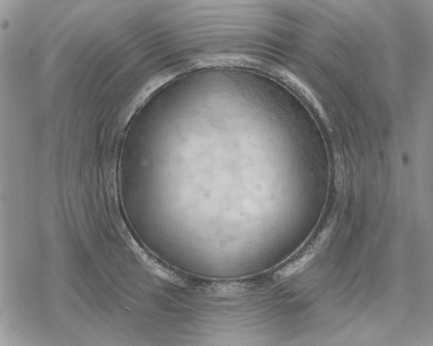 X0000078231041200611171428