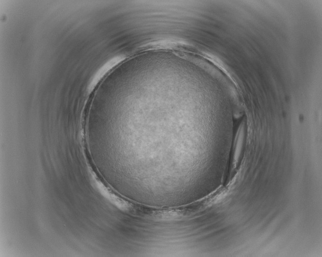 X0000078231042200611171429