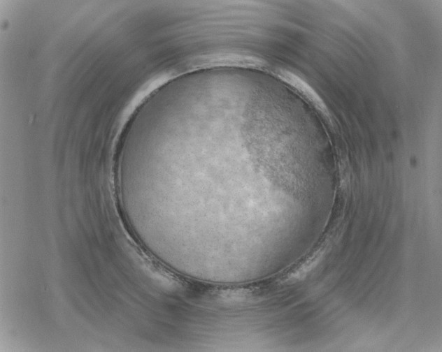 X0000078231043200611171429