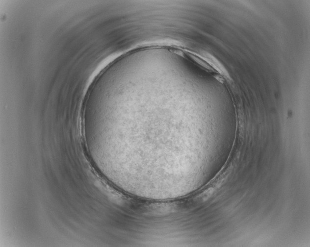 X0000078231044200611171429