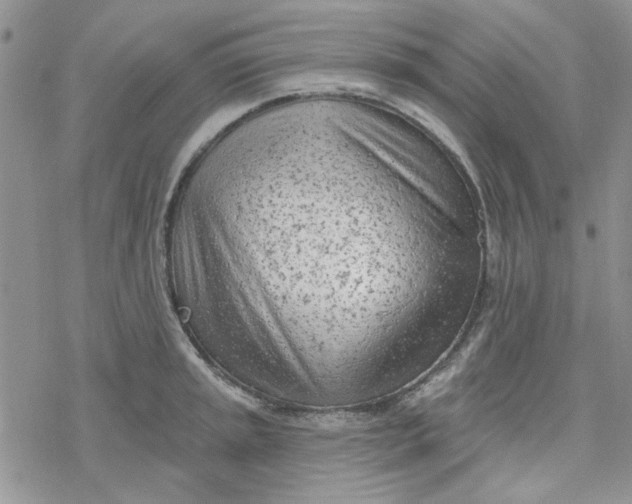 X0000078231045200611171429