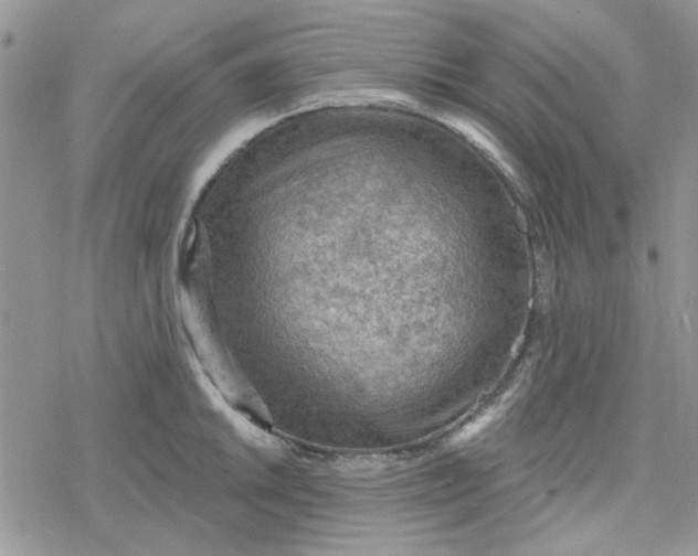 X0000078231046200611171429