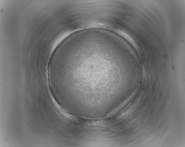 X0000078231047200611171429