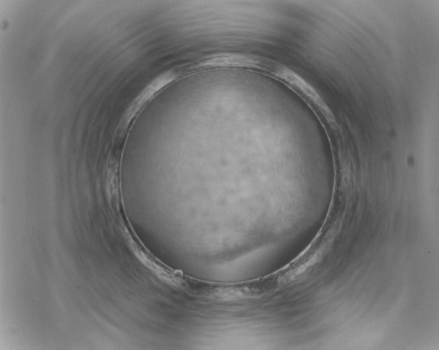 X0000078231049200611171429