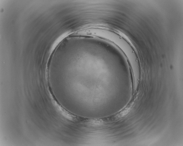 X0000078231050200611171429