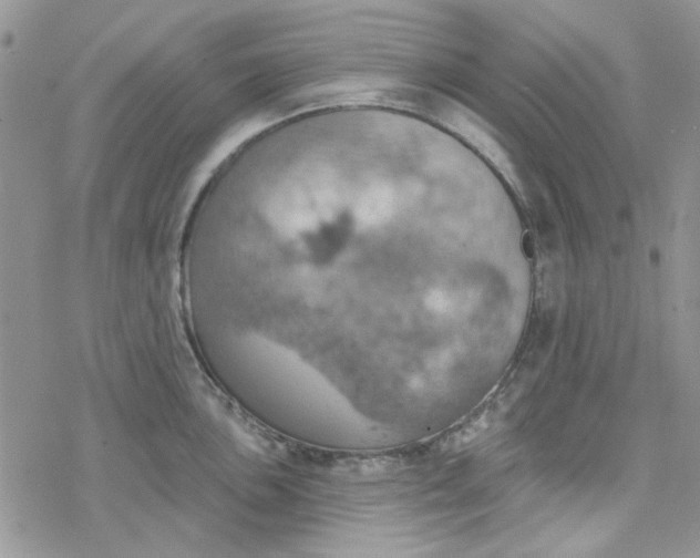 X0000078231051200611171429