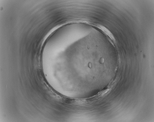 X0000078231052200611171429