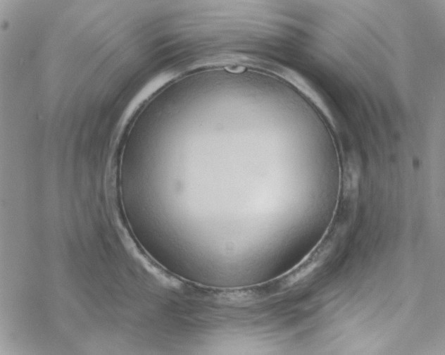 X0000078231053200611171429