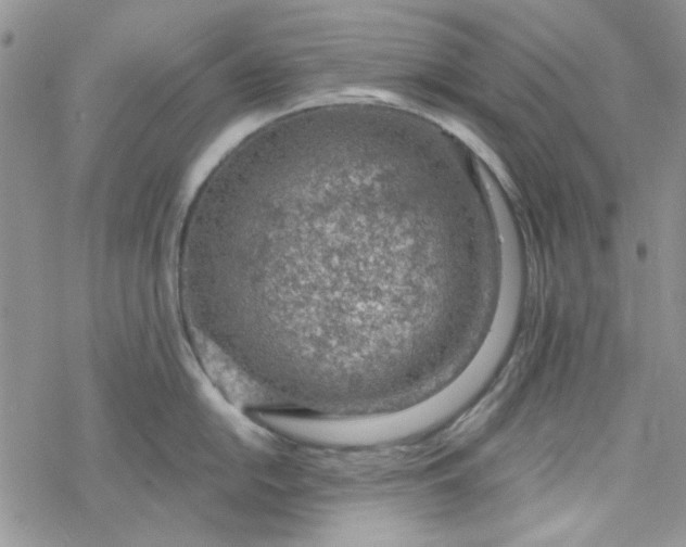 X0000078231054200611171429