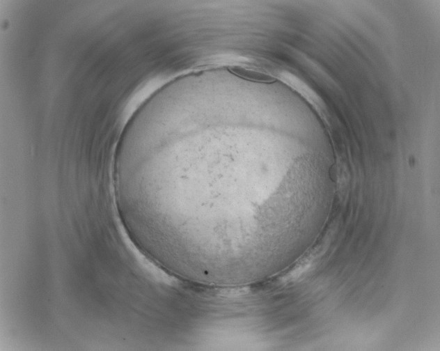 X0000078231055200611171429