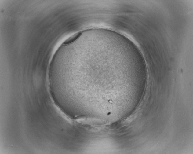 X0000078231056200611171429