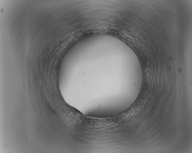 X0000078231057200611171428