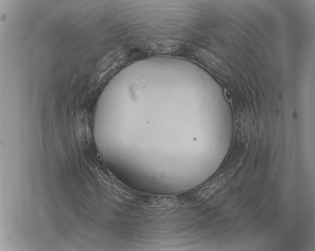 X0000078231058200611171428