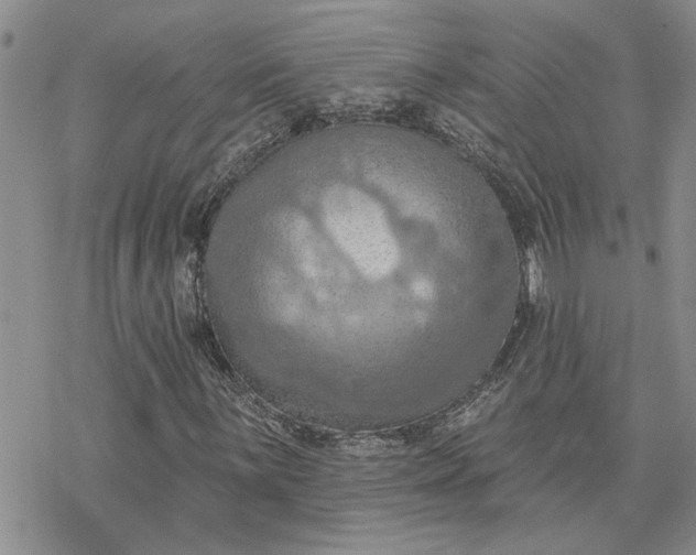 X0000078231059200611171428