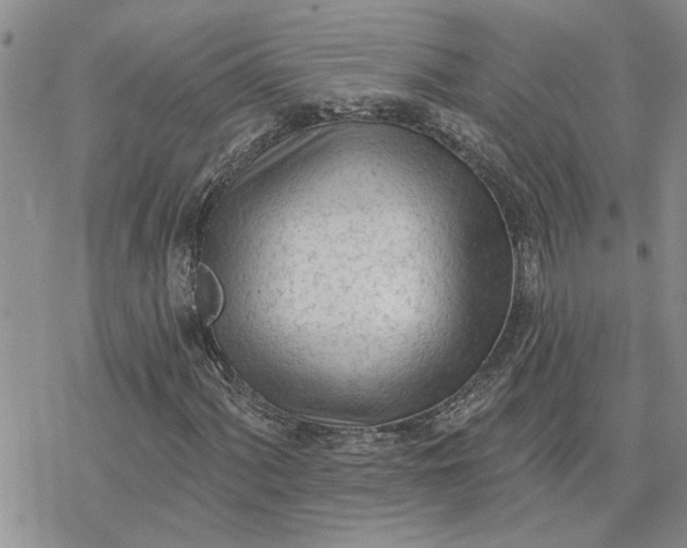 X0000078231060200611171428