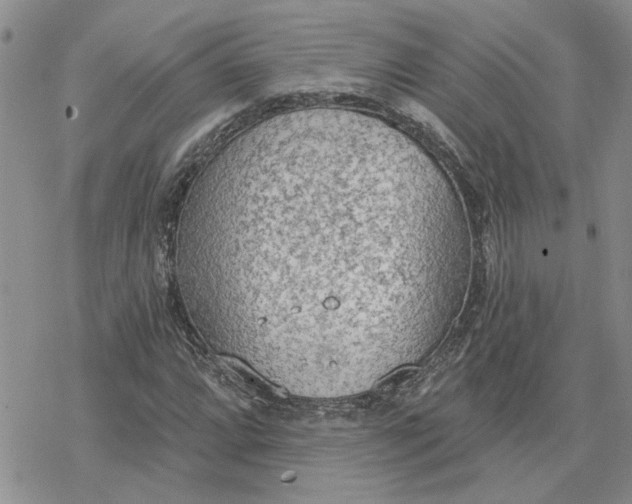 X0000078231064200611171428