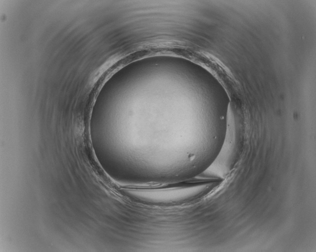 X0000078231065200611171428