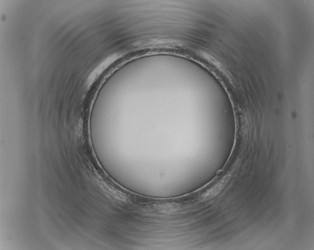 X0000078231066200611171428