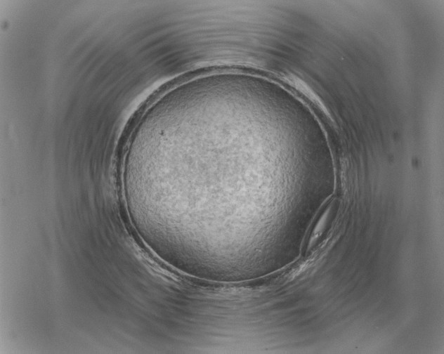 X0000078231068200611171428