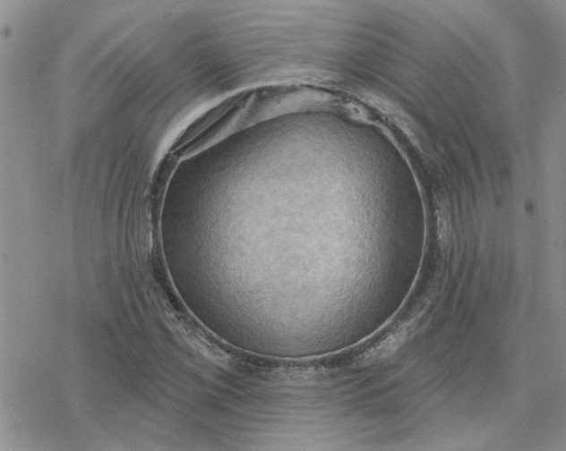 X0000078231069200611171428