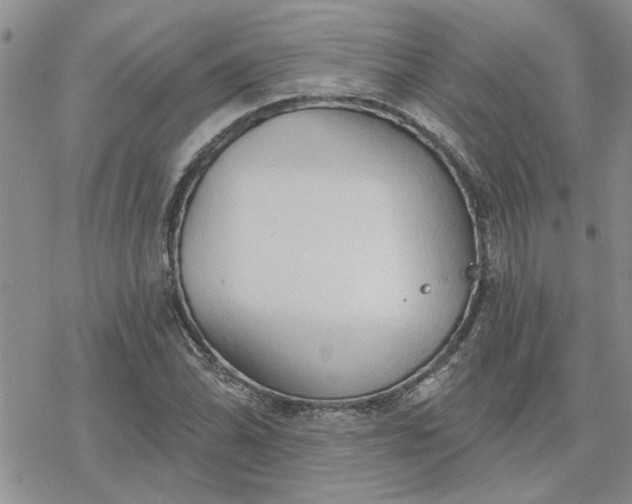 X0000078231070200611171428